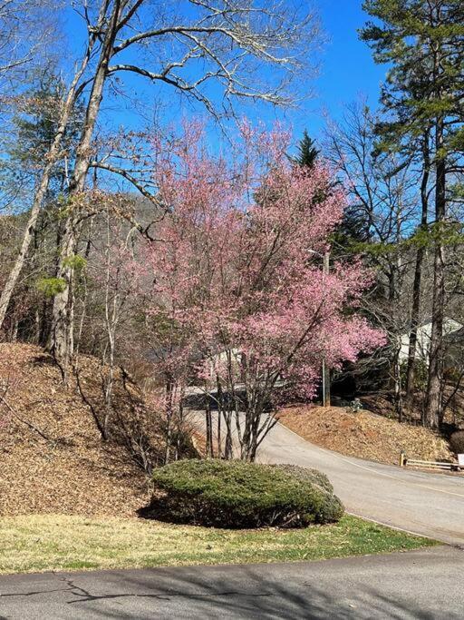 Creekside Gated Golf Mtn Villa W/Fast Wifi & Paved Franklin Kültér fotó